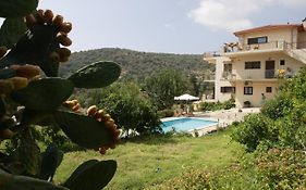 Elena'S Summer House
